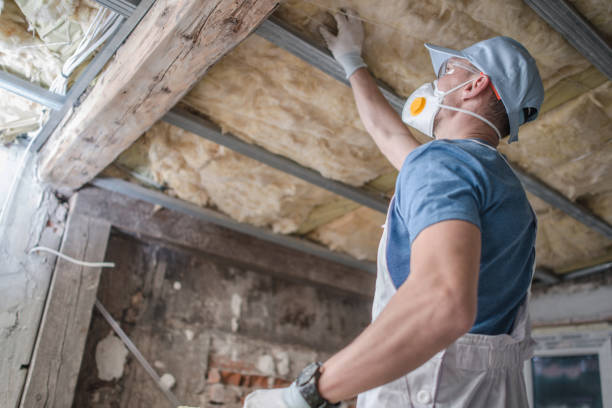 Insulation Inspection Services in East Norwich, NY