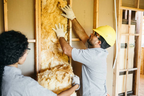 Best Insulation Inspection Services  in East Norwich, NY